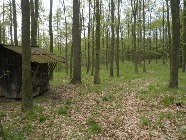Vrchol Blyštice